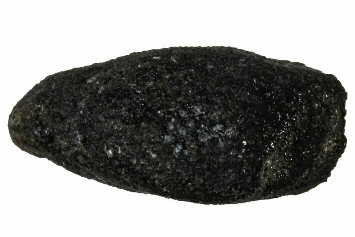 Ait Saoun EH/EH Chondrite Meteorite ( g) - Fresh Fall! #304188